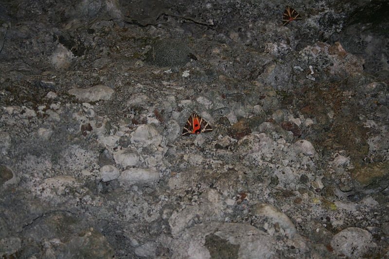 Rodos 2007 265